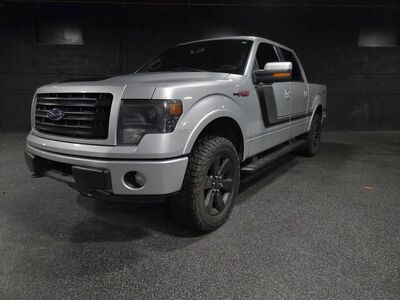 2014 Ford F-150 FX4