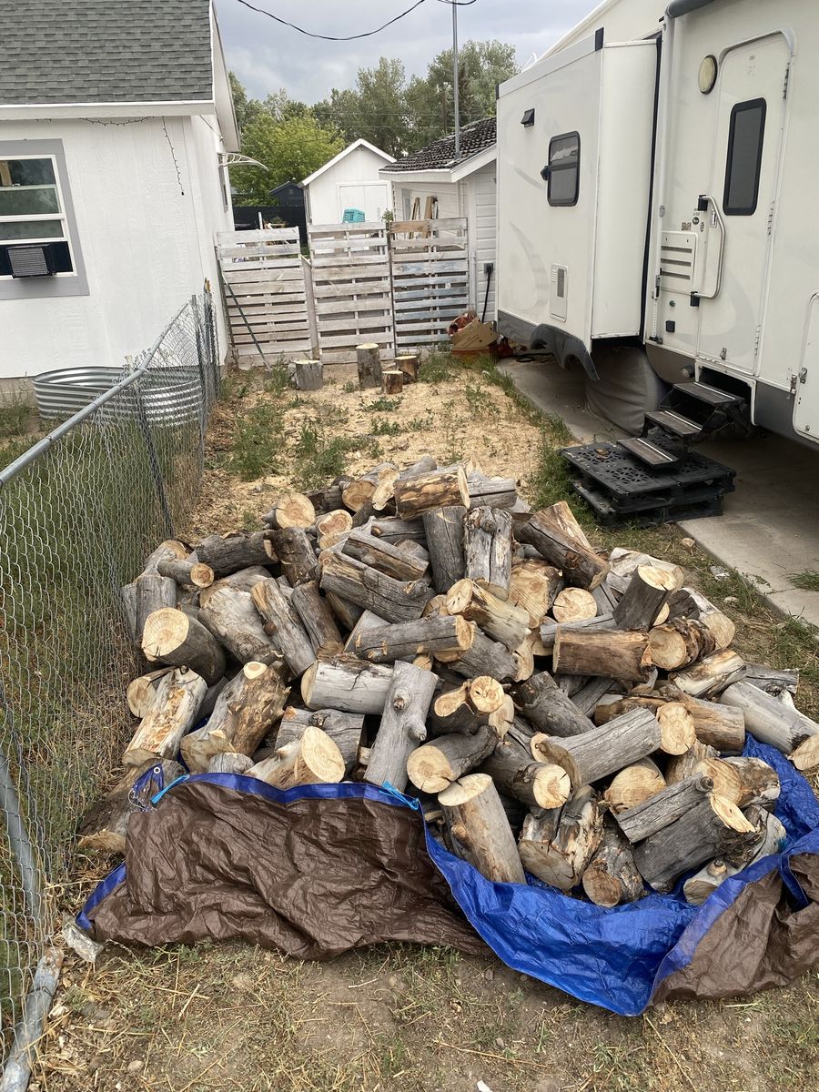 Seasoned Firewood 1 1/4 Cord (Quakey Aspen)