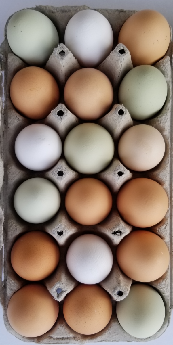 Farm Fresh Eggs from Happy Free Range Hens