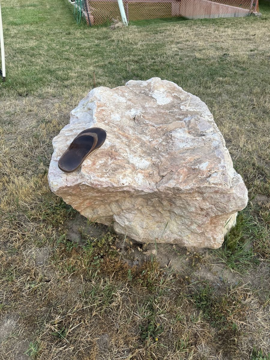 Main image 7