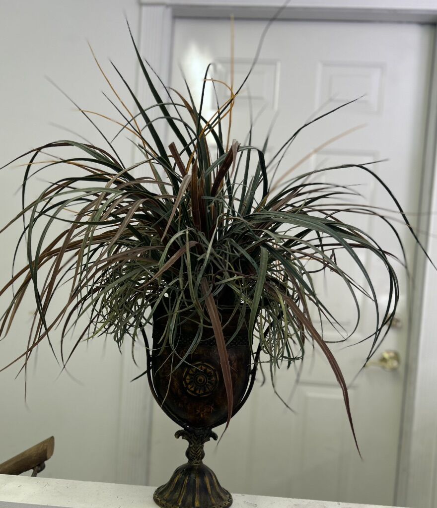 IN Door Decorative Plant