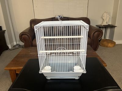 Bird Cage