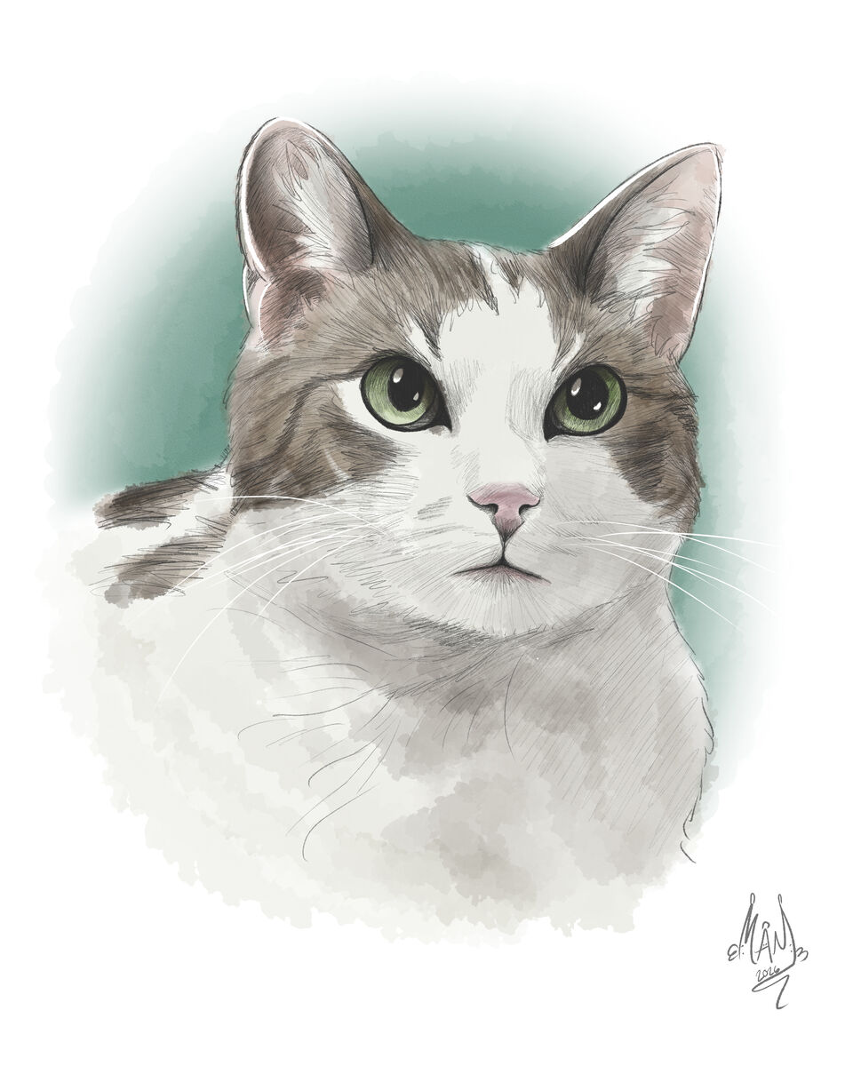 Custom Pet Portraits