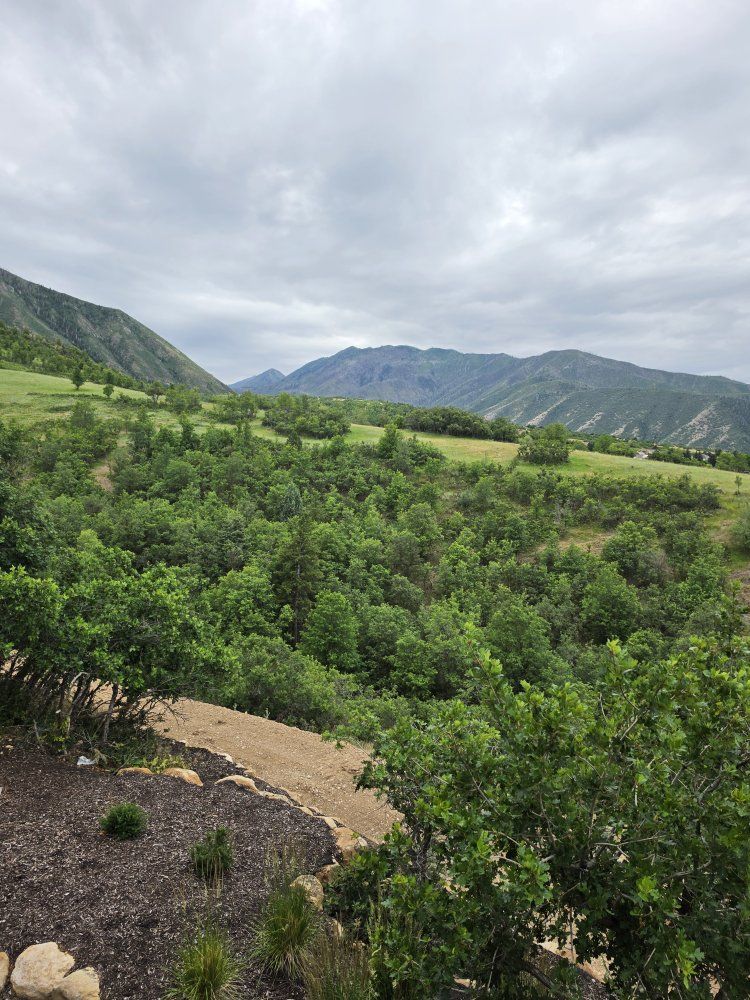.76 acre ESTATE LOT in SUMMIT CREEK/ WOODLAND HILL