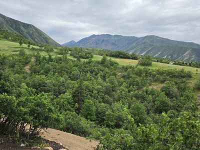 .76 acre ESTATE LOT in SUMMIT CREEK/ WOODLAND HILL