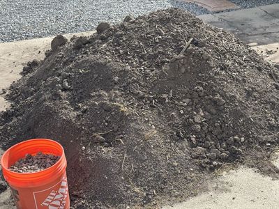 Free Soil