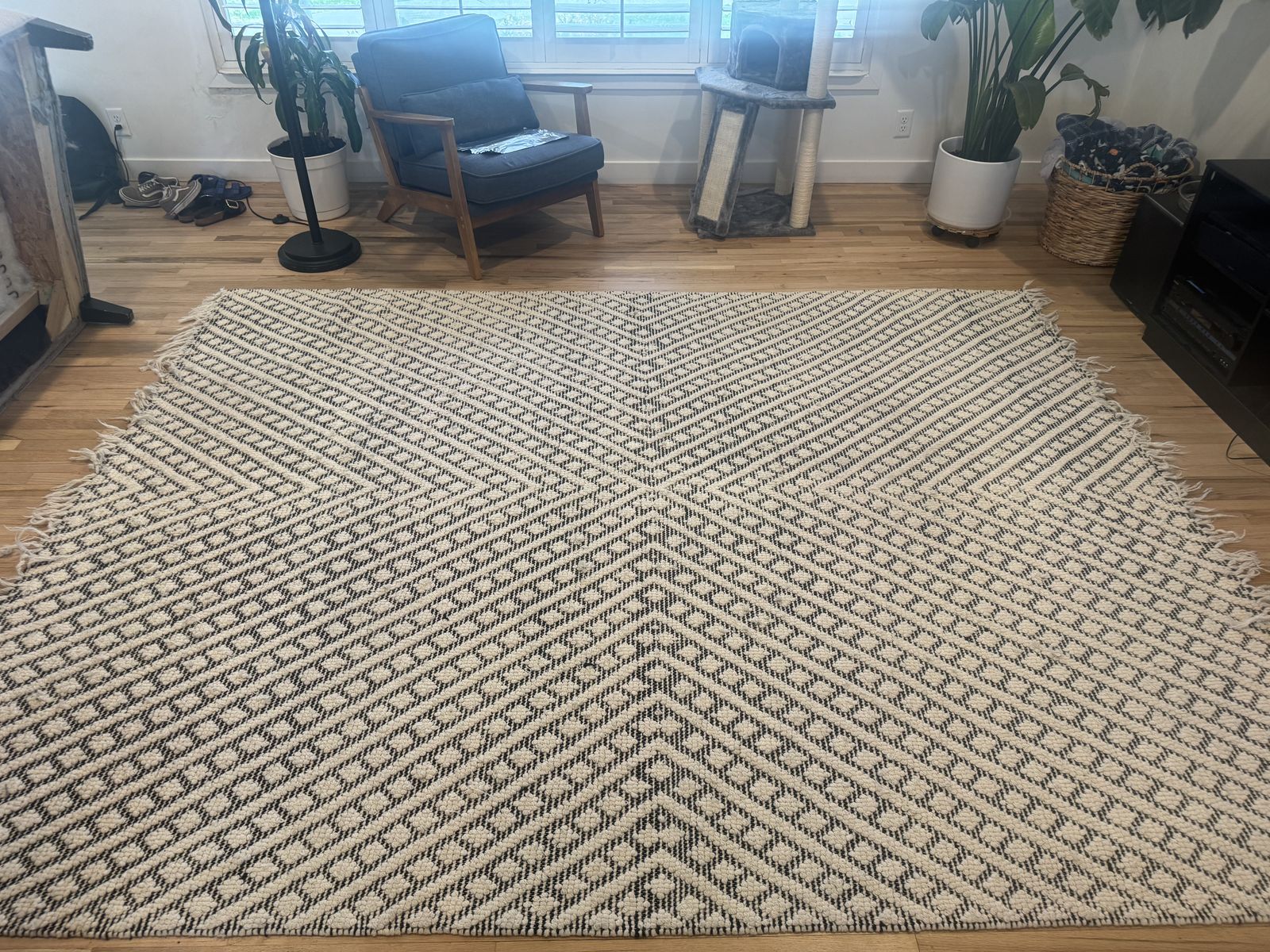 Living room rug
