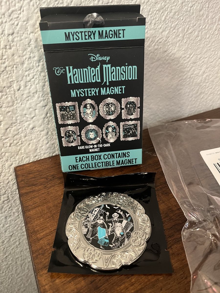 Disney The Haunted Mansion Mystery Magnet blind box from BoxLunch