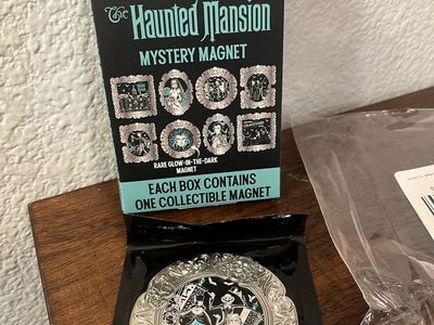 Disney The Haunted Mansion Mystery Magnet blind box from BoxLunch