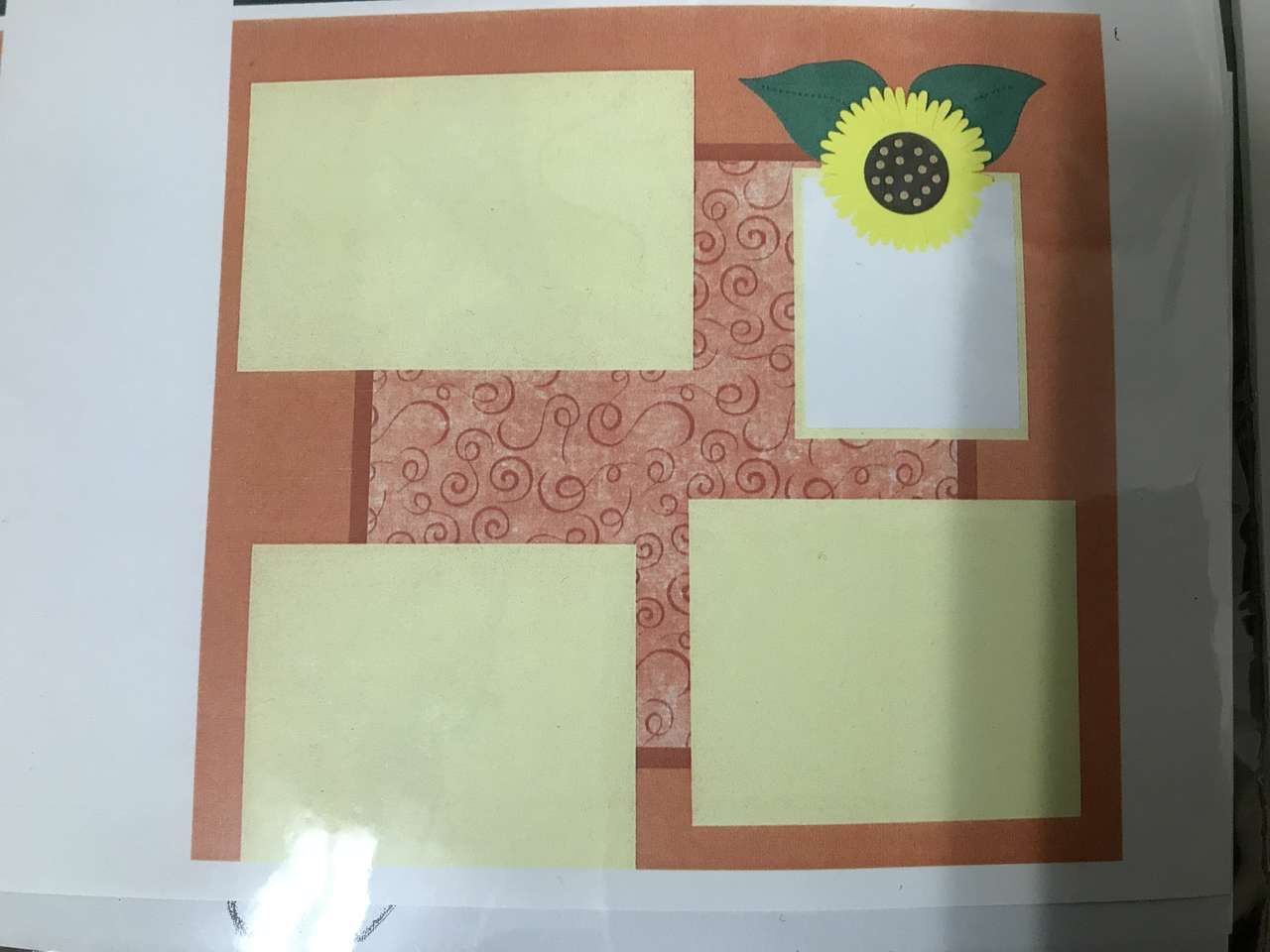 Main image 24