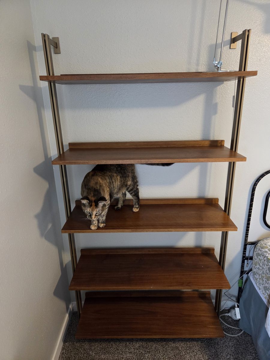 West Elm mid-century modern bookshelf - $100