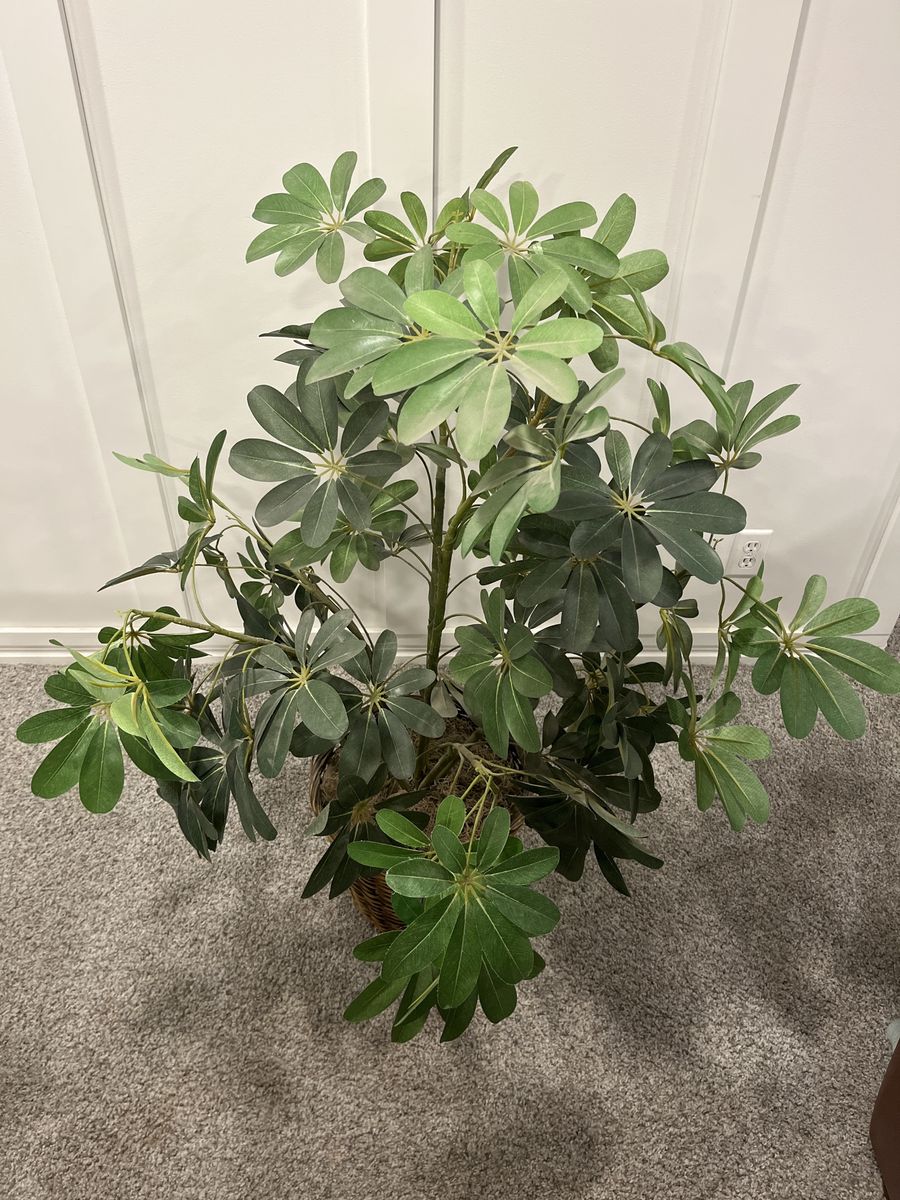 Lifelike Artificial Schefflera Plant in Woven Basket - Green Faux Tree Decor
