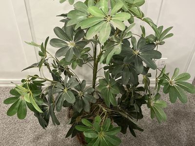 Lifelike Artificial Schefflera Plant in Woven Basket - Green Faux Tree Decor