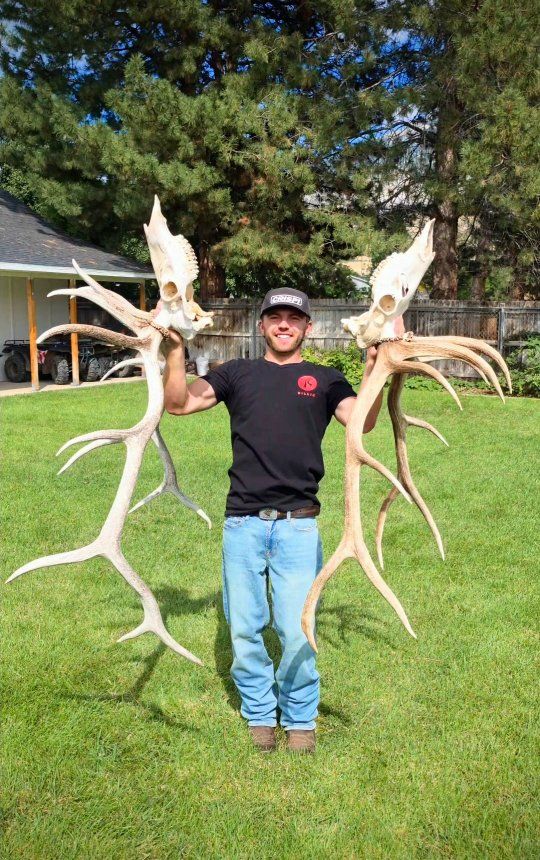 Euro Mounts