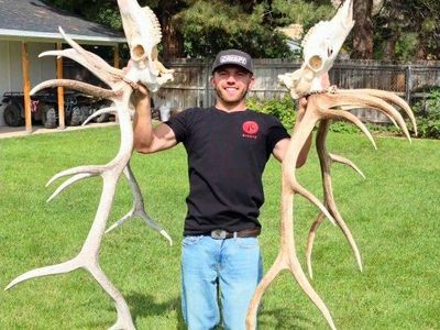 Euro Mounts