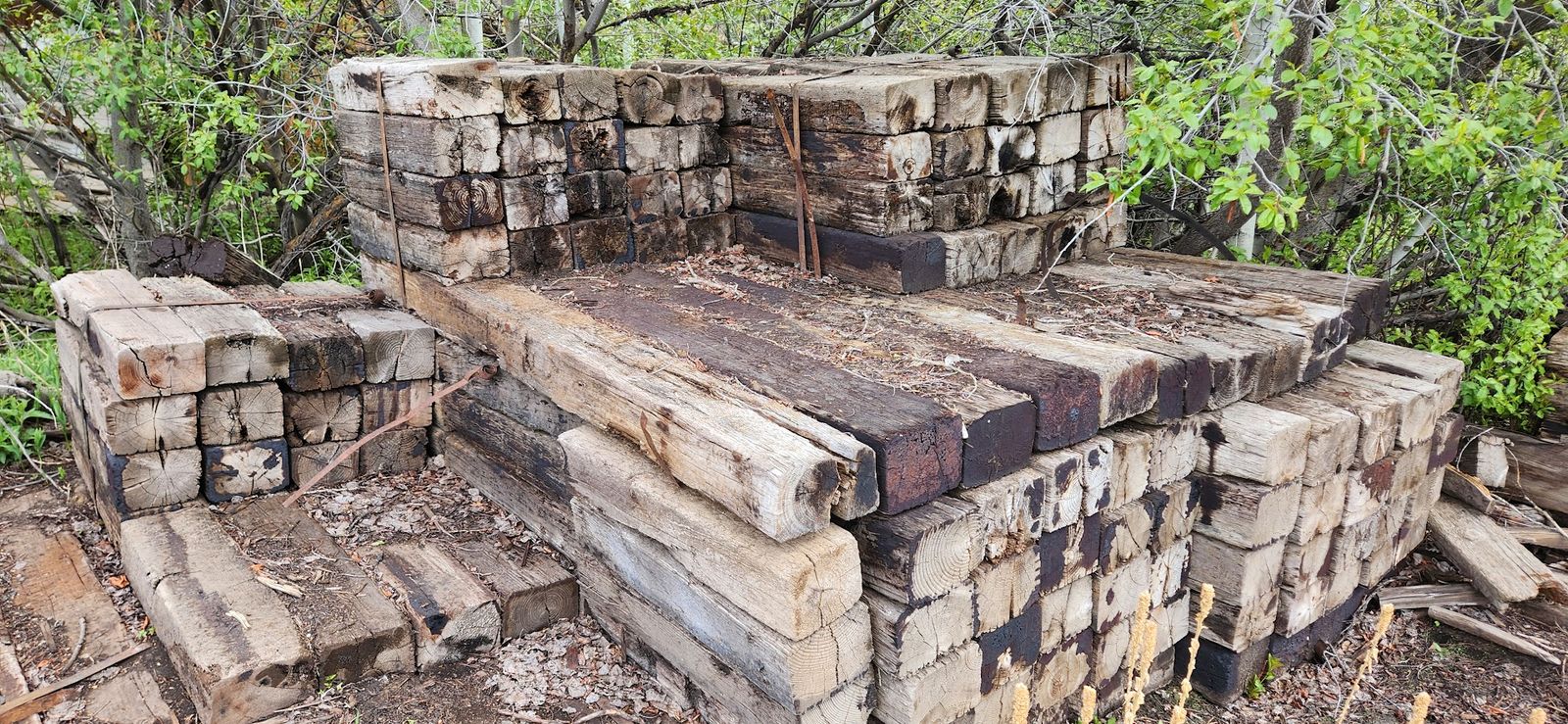 Railroad ties. 2 foot long for $1 each. Southeast of Mt Pleasant. Camp TIFIE road fundraiser.