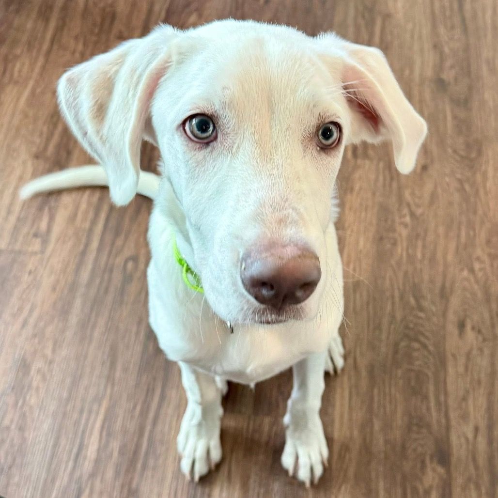 Hello my name is Gunner