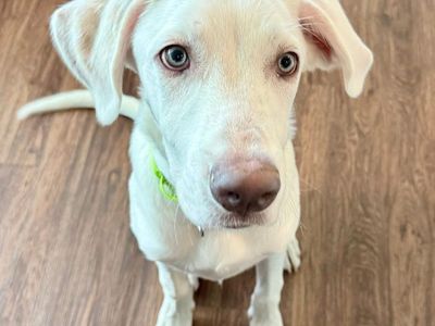 Hello my name is Gunner