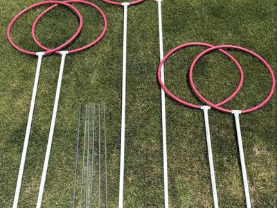Quidditch Goals (yard game / field game) great for Family Reunions!