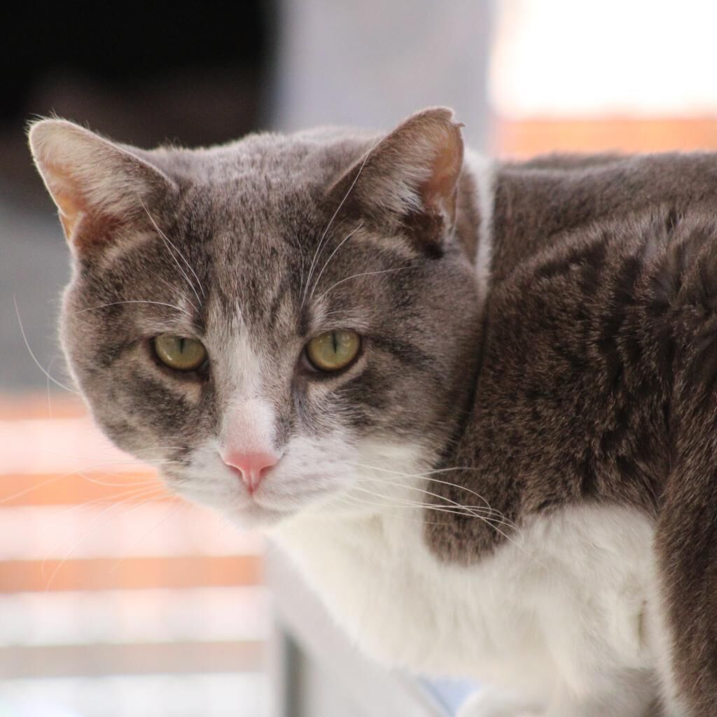 Hello my name is Kenneth