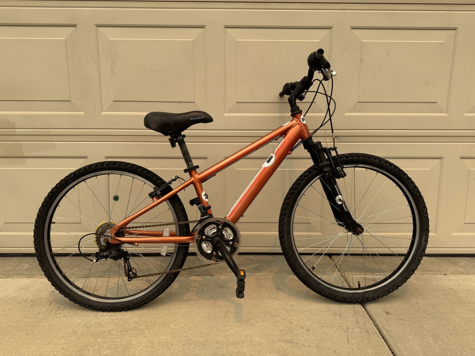 Diamondback 24-inch Youth Mountain Bike