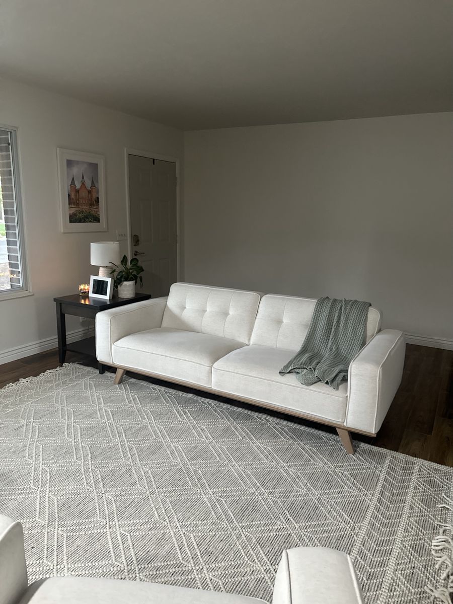 modern sofa and chairs