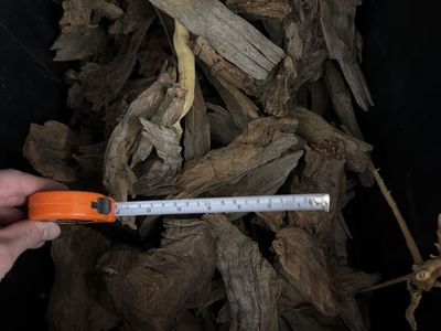 Wood Pieces For Aquarium