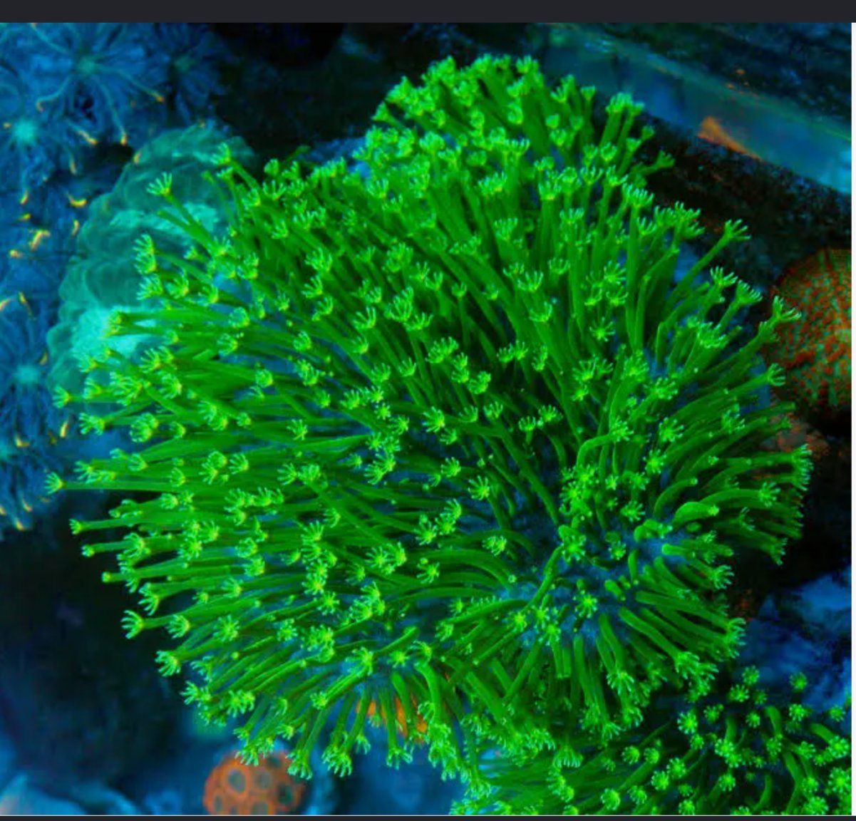 Main image 2