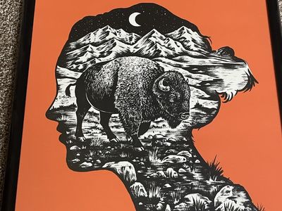 The National And Alvvays Concert Poster