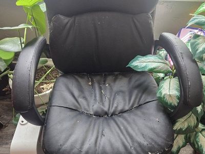 Black Office Business Chair