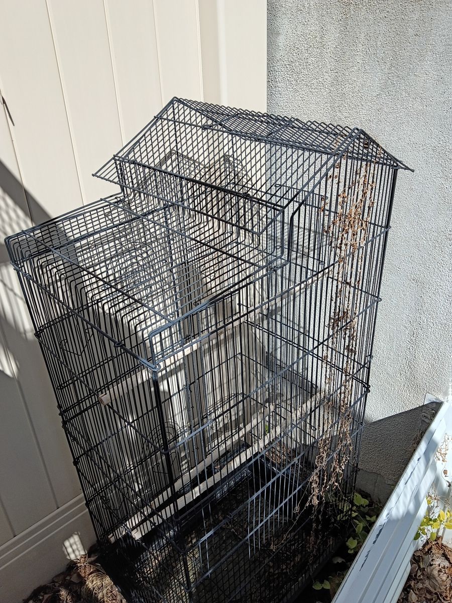 Bird cage