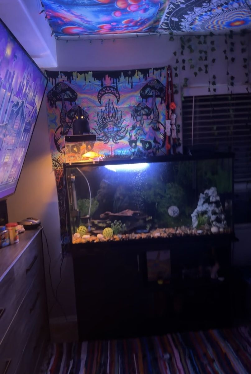 55 gallon aquarium
