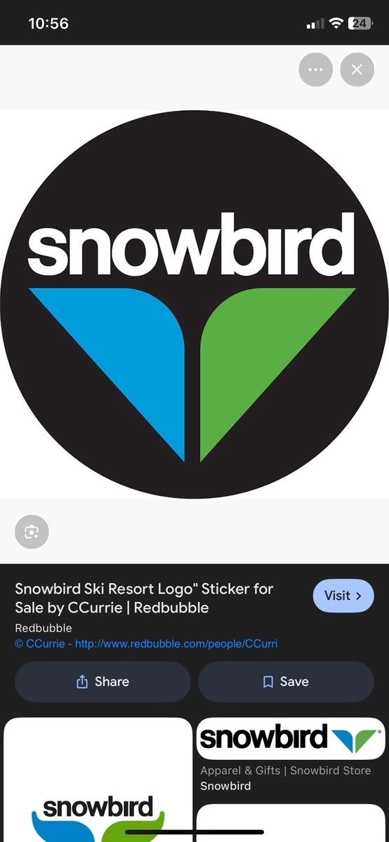 Snowbird youth season pass
