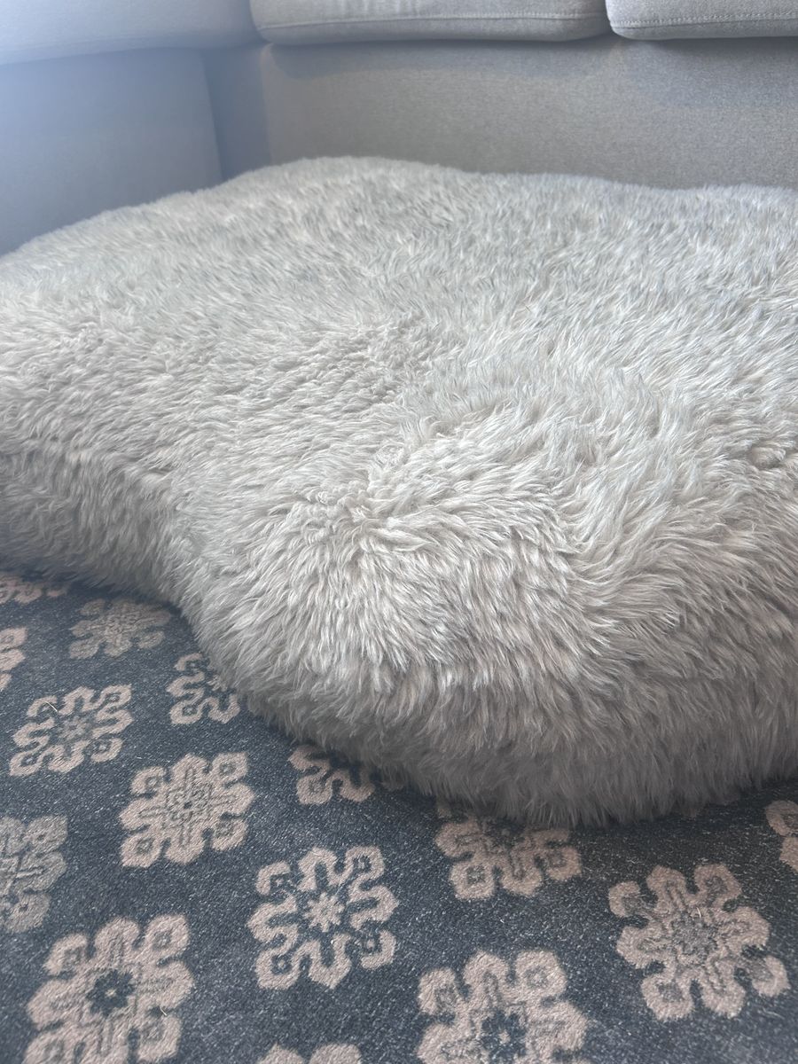 Costco Kirkland Dog Bed