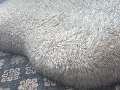 Costco Kirkland Dog Bed
