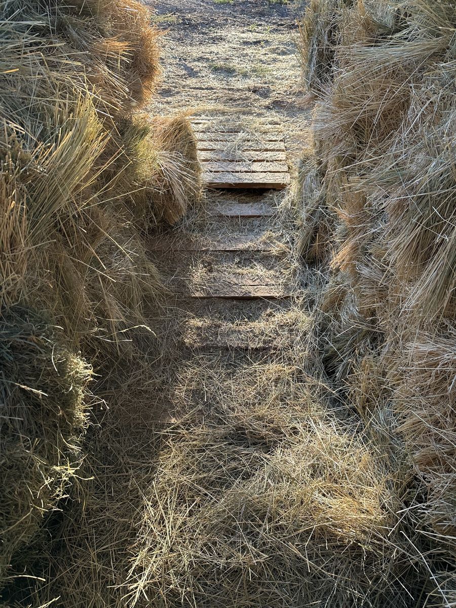 Free Hay and Straw