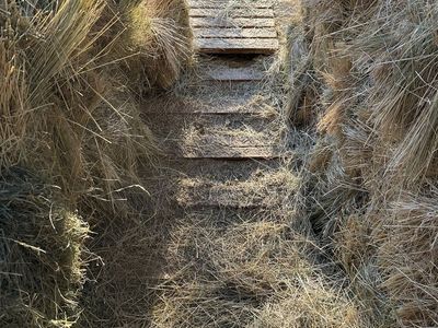 Free Hay and Straw
