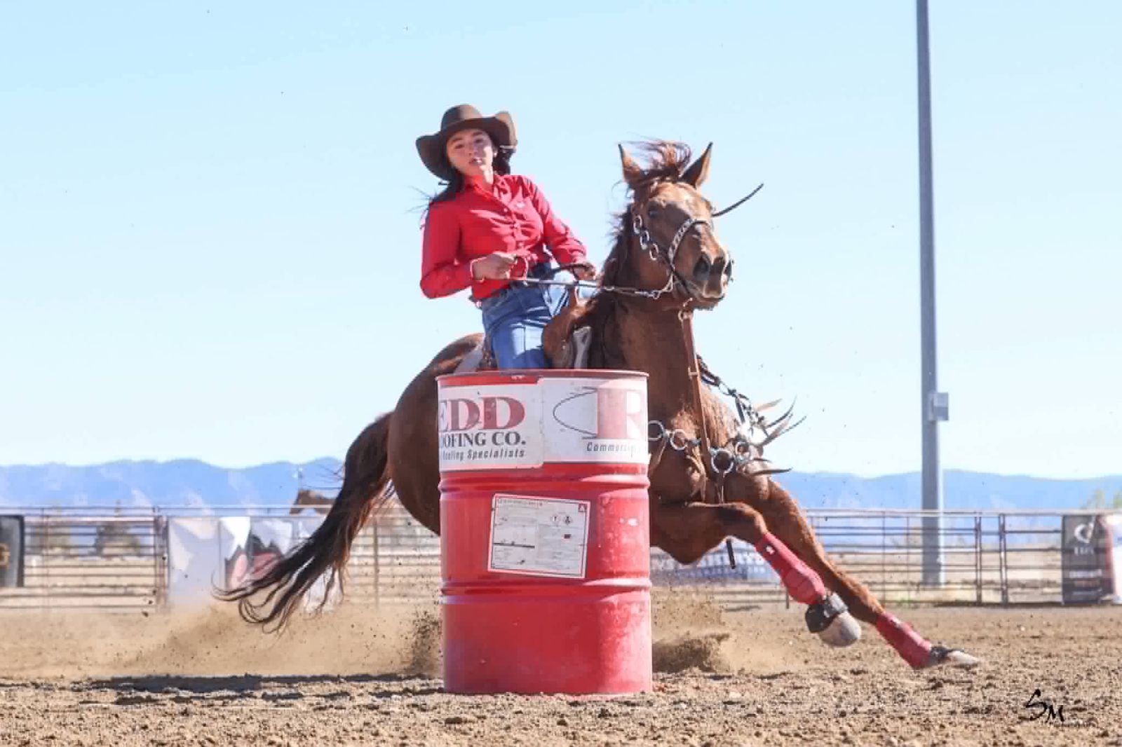 Barrel horse
