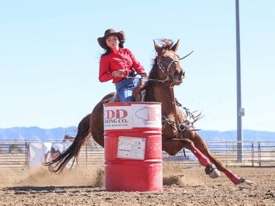 Barrel horse
