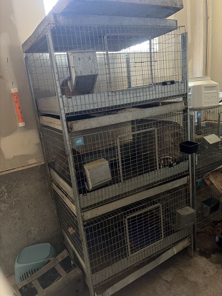 KW Rabbit Cage