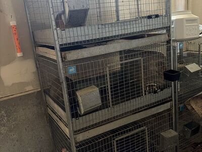 KW Rabbit Cage