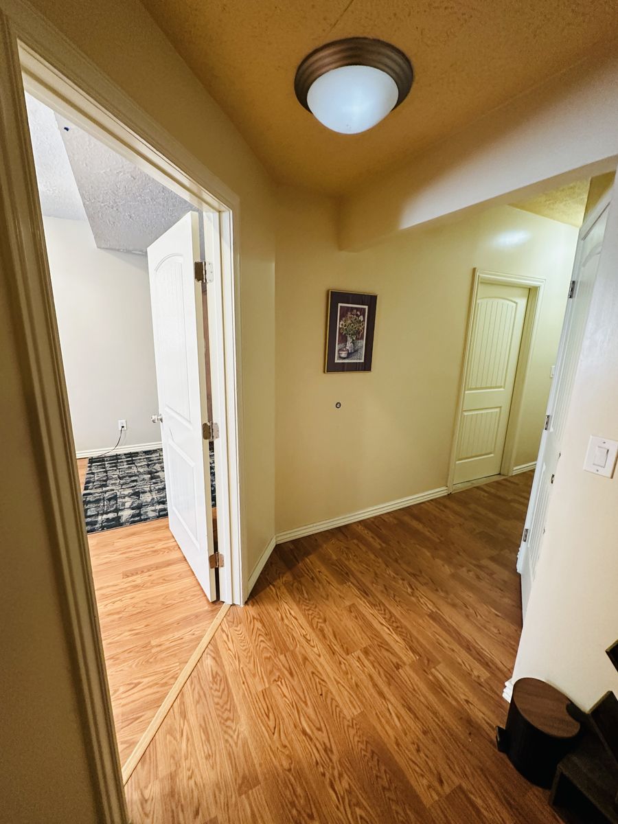 Main image 6