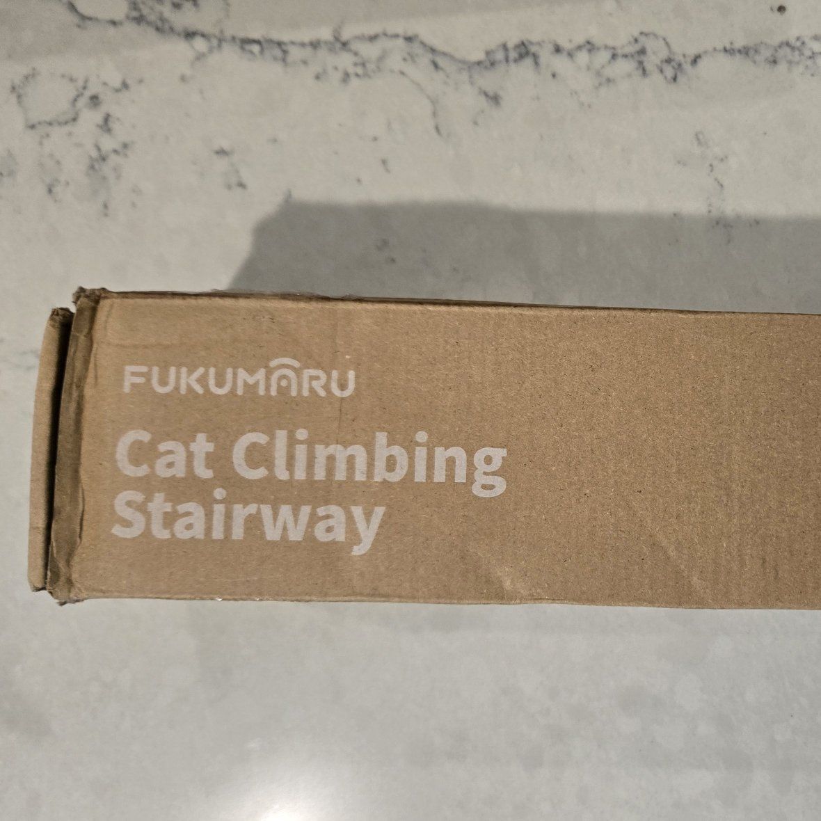 Cat Clinbing Stairway.