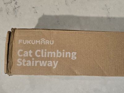Cat Clinbing Stairway.
