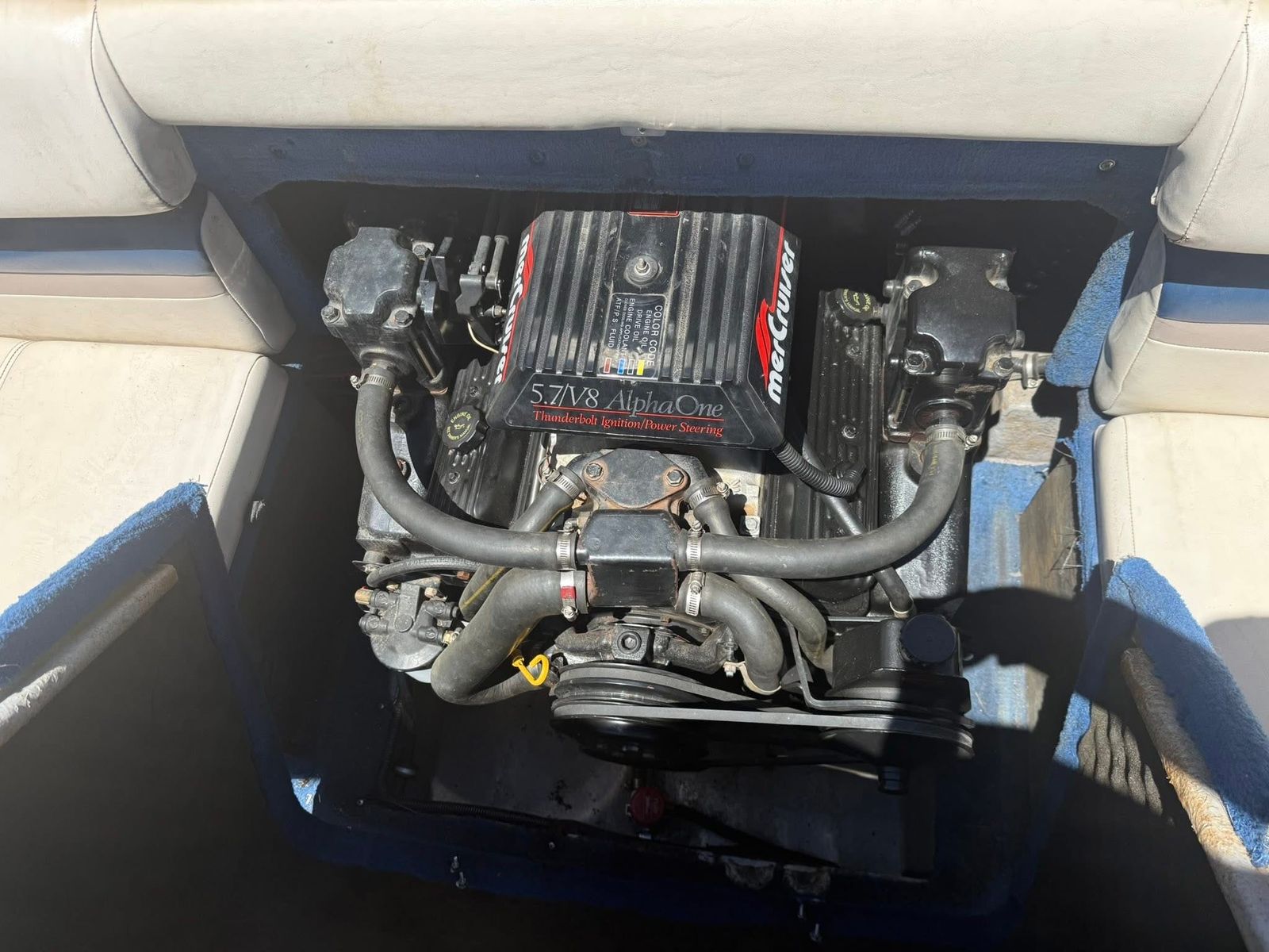 Main image 5