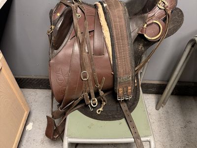 Australian Riding Saddle