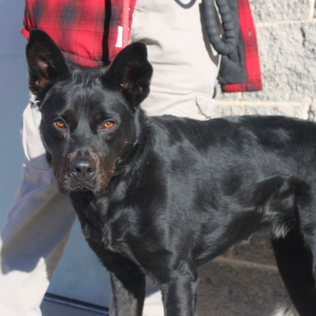 Hello my name is Rowena