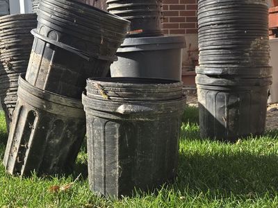 Black Planter Nursery Pots