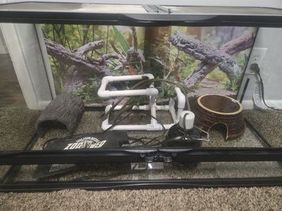Reptile Terrarium Setup with Accessories and Zoo Med Heat Mat