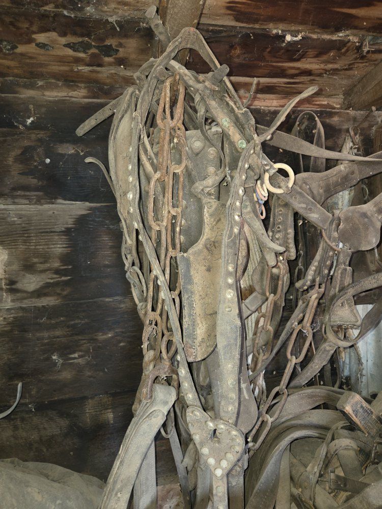 Main image 5